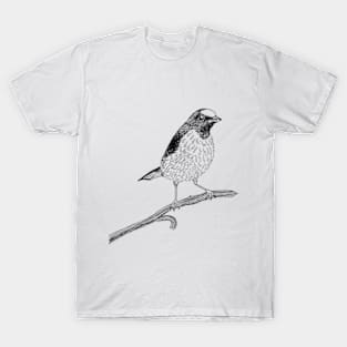 Euphonia Bird T-Shirt